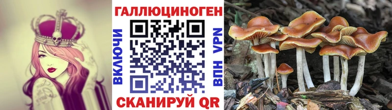 Псилоцибиновые грибы Magic Shrooms  Жирновск 
